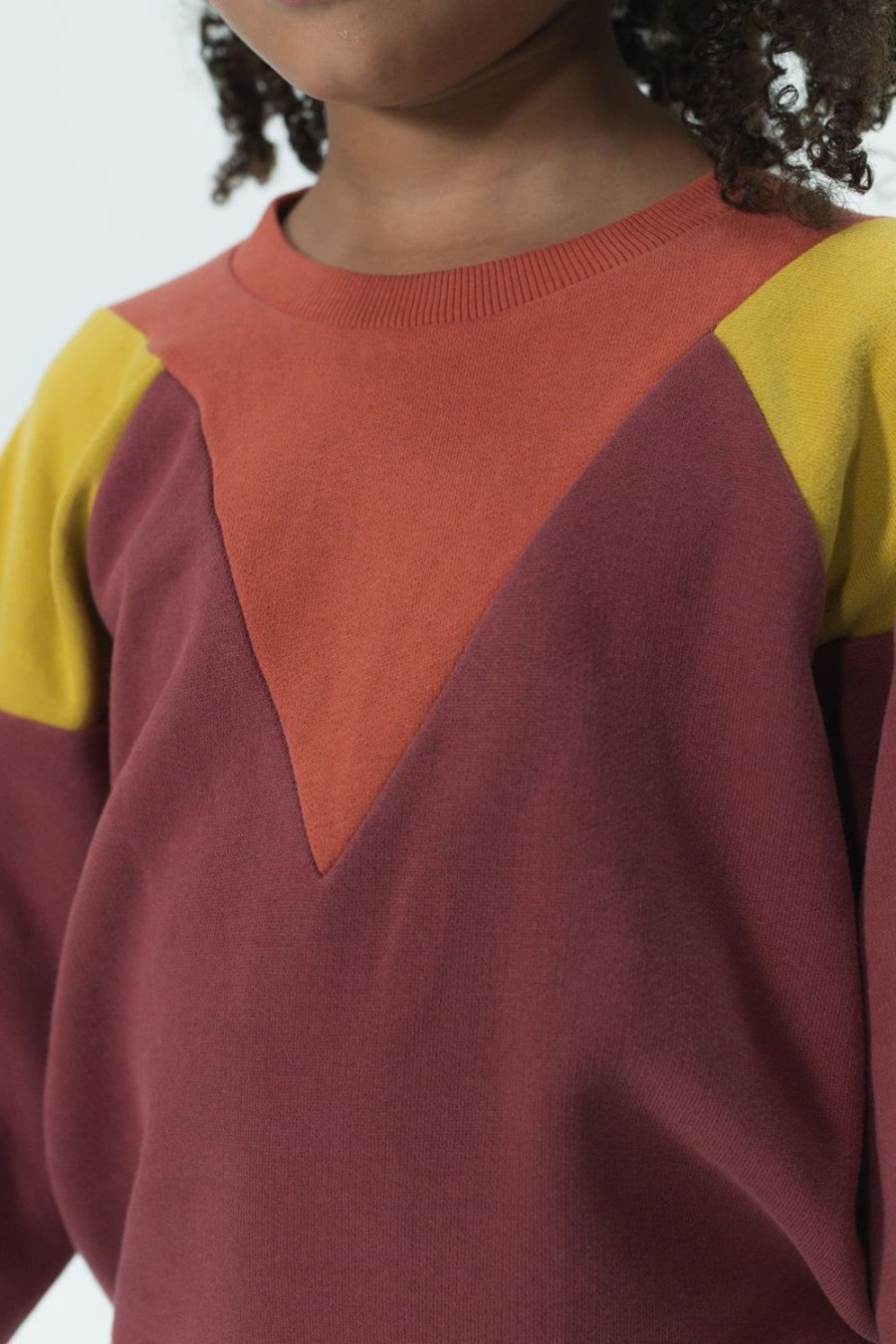 Sissy-Boy Truien En Vesten | Donkerroze Colourblock Sweater