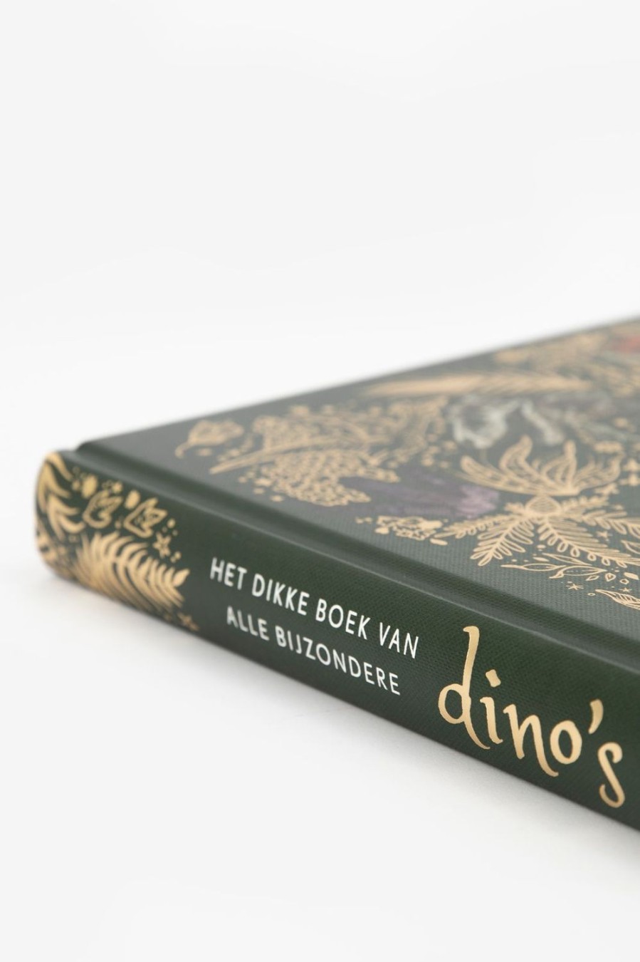 Sissy-Boy Boeken Boeken | Het Dikke Boek Van Bijzondere Dino'S