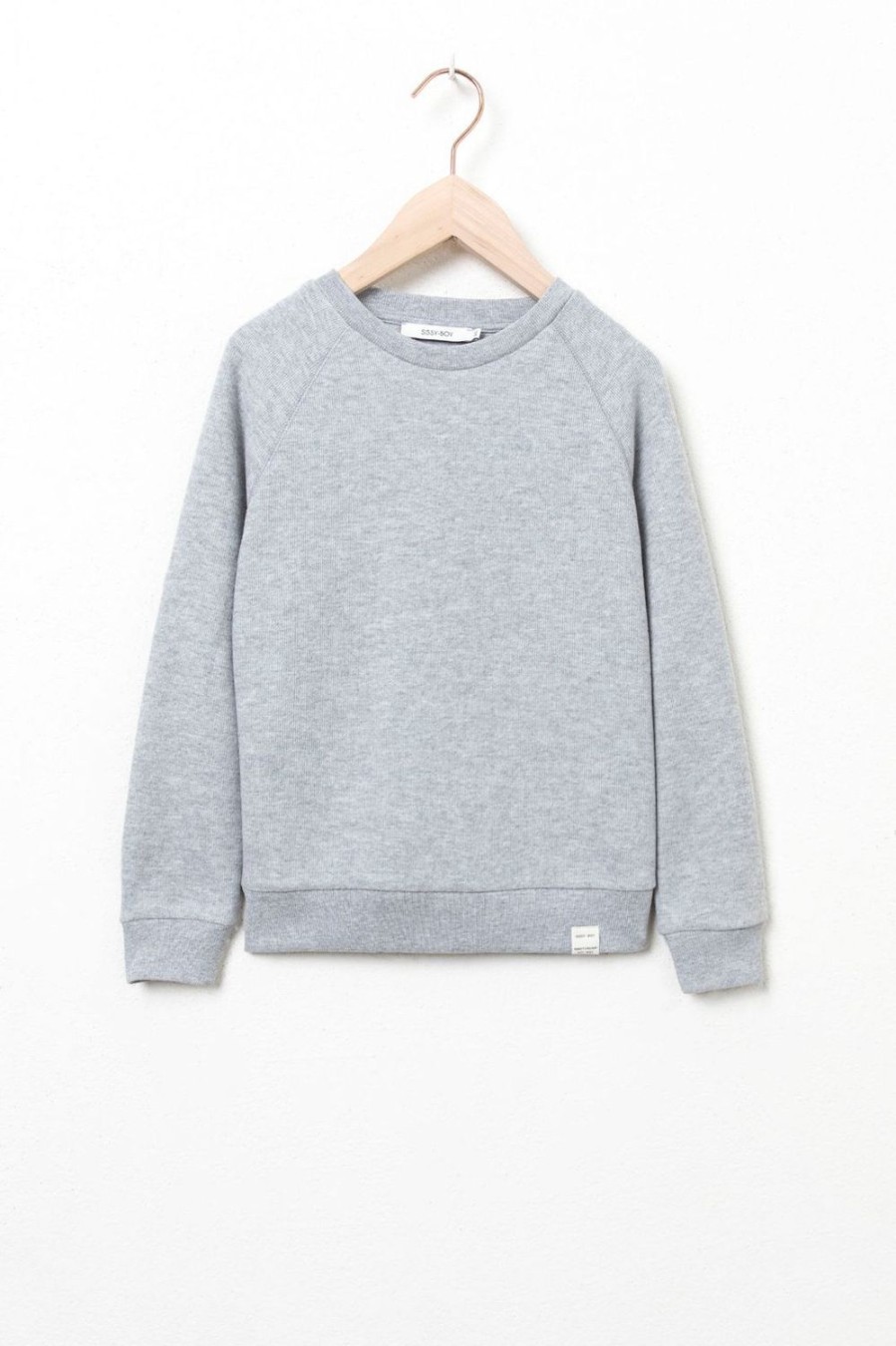 Sissy-Boy Truien En Vesten | Grijze Raglan Sweater